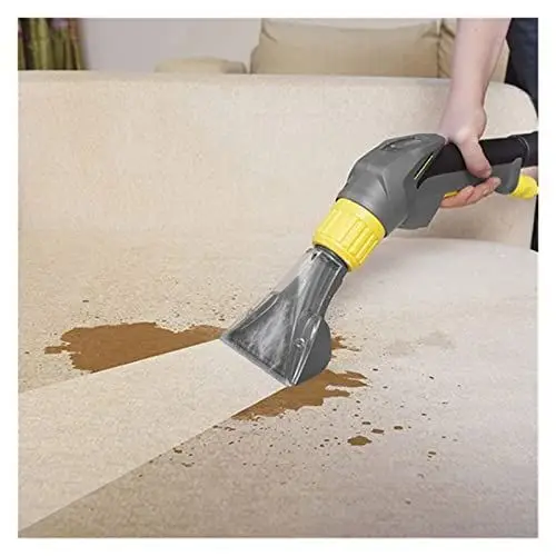 Pet Cleaning in Sofa